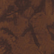 100Q-1721-1-0155Y000004en9iQAA.jpg