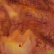 100Q-1729-1-0155Y000004en94QAA.jpg