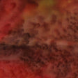 100Q-1812-1-0155Y000004en8GQAQ.jpg