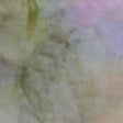 100Q-1858-1-0155Y000004en6jQAA.jpg