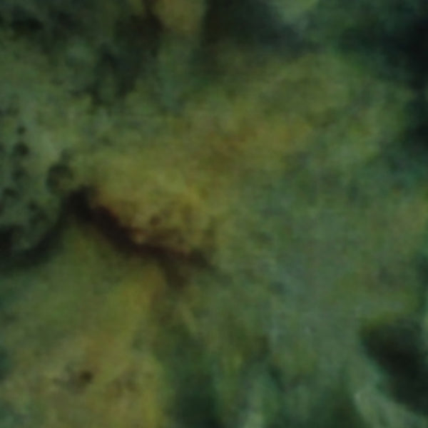 100Q-1879-1-0155Y000004en65QAA.jpg