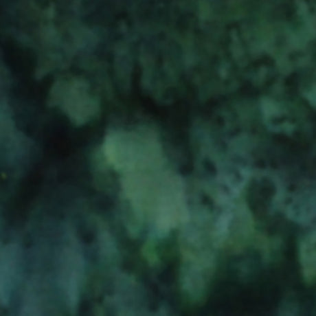 100Q-1881-1-0155Y000004en5vQAA.jpg