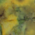 100Q-1902-1-0155Y000004en5MQAQ.jpg