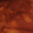 100Q-1922-1-0155Y000004en4xQAA.jpg