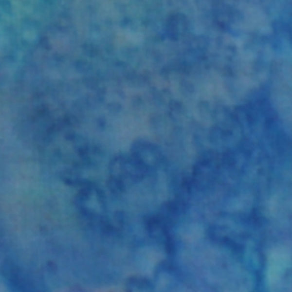 100Q-1956-1-0155Y000004en4TQAQ.jpg