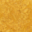 100Q-2006-1-0155Y000004emz4QAA.jpg