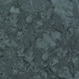100Q-2010-1-0155Y000004emypQAA.jpg