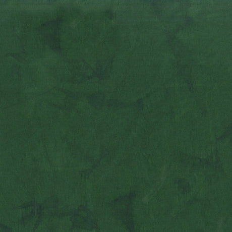 100Q-2011-1-0155Y000004emykQAA.jpg