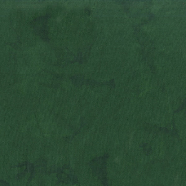 100Q-2011-1-0155Y000004emykQAA.jpg