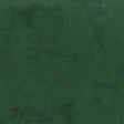 100Q-2011-1-0155Y000004emykQAA.jpg