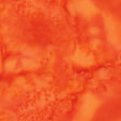 100Q-2027-1-0155Y000004emxNQAQ.jpg
