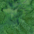100Q-2034-1-0155Y000004emwPQAQ.jpg