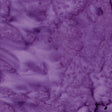 100Q-2042-1-0155Y000004emvgQAA.jpg