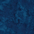 100Q-2049-1-0155Y000004emv2QAA.jpg