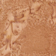 100Q-2051-1-0155Y000004emusQAA.jpg