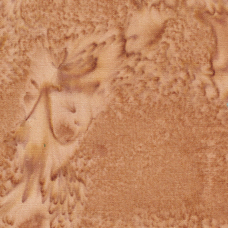100Q-2051-1-0155Y000004emusQAA.jpg