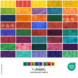 10YDCLAB-X-2-015Ud00000IO29bIAD.jpg