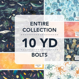 10YDDPBL-X-1-015Ud00000B8TT8IAN.jpg