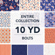 10YDFOLK-X-1-015Ud00000AtDTXIA3.jpg