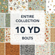 10YDLTSA-X-1-015Ud00000IPGX4IAP.jpg