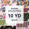 10YDMDBL-X-1-015Ud00000B8nQEIAZ.jpg