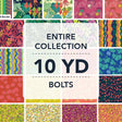10YDSNSH-X-1-015Ud00000Asbo2IAB.jpg