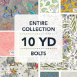 10YDSWAY-X-1-015Ud00000AtDdCIAV.jpg