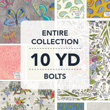 10YDSWAY-X-1-015Ud00000AtDdCIAV.jpg