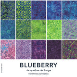 12YDBLUEBERRY-X-2-015Ud00000Eewq4IAB.jpg