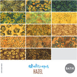 12YDHAZEL-X-2-015Ud00000AnqfgIAB.jpg