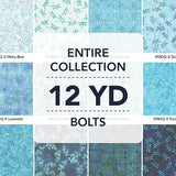 12YDSEASIDEBLUE-X-1-015Ud00000GTTAHIA5.jpg