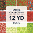 12YDSEASON'SGREETINGS-X-1-015Ud00000IMFKcIAP.jpg