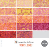 12YDTROPICALSUNSET-X-2-015Ud00000GTarjIAD.jpg