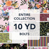 15YDMDBL-X-1-015Ud00000B8o1KIAR.jpg