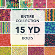 15YDSNSH-X-1-015Ud00000AsbkoIAB.jpg