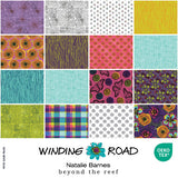 15YDWIND-X-2-015Ud00000B89z6IAB.jpg