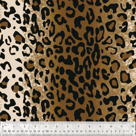 19305-X-1-0155Y000005jBoEQAU.jpg