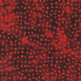 20023Q-X-2-015Ud00000AlXNpIAN.jpg