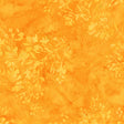 20057Q-X-1-015Ud00000IM9yMIAT.jpg