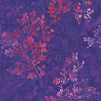 20064Q-X-1-015Ud00000IM9lSIAT.jpg