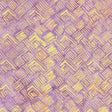 20226Q-X-1-015Ud00000GS4ViIAL.jpg