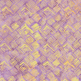 20226Q-X-1-015Ud00000GS4ViIAL.jpg