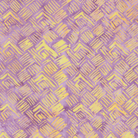 20226Q-X-1-015Ud00000GS4ViIAL.jpg