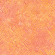 20231Q-X-1-015Ud00000GS36hIAD.jpg