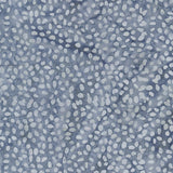 20274Q-X-1-015Ud00000GRB6EIAX.jpg