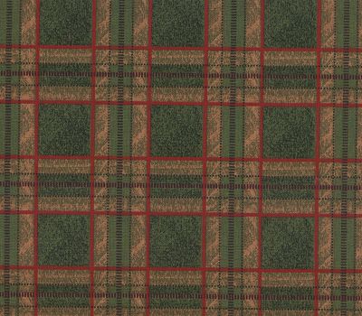 fabric_image