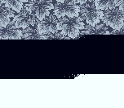 fabric_image