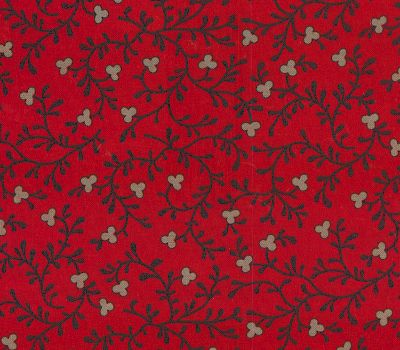 fabric_image