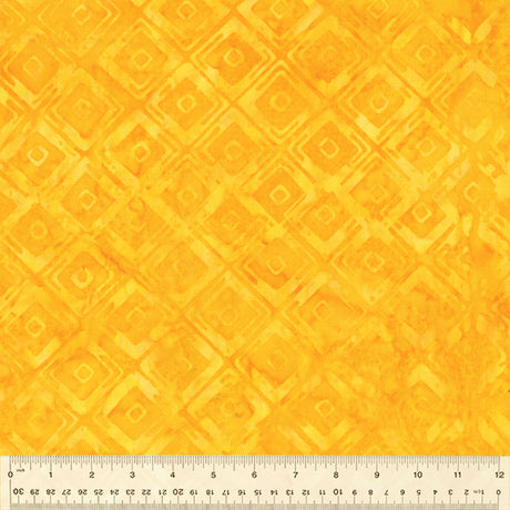 2430Q-X-1-0155Y000005ryM8QAI.jpg