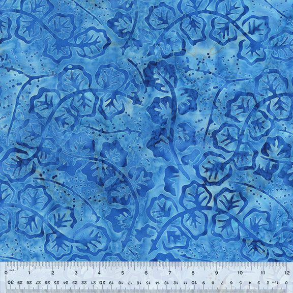 2465Q-X-1-0155Y000005ryKMQAY.jpg